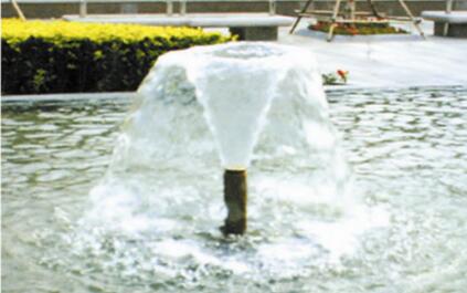 喷泉水型喇叭花